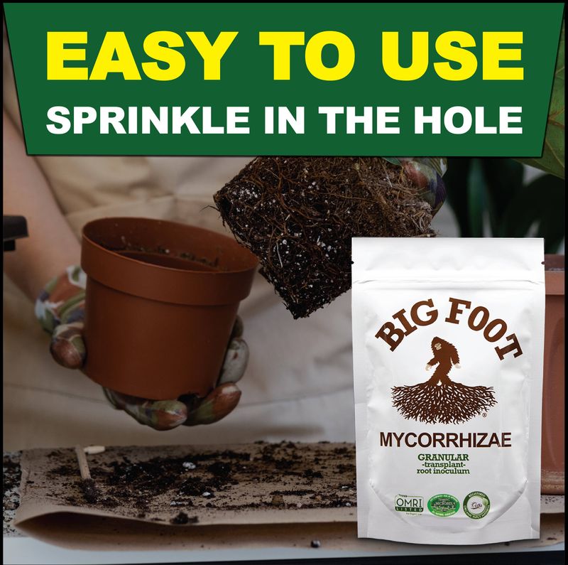 Big Foot Granular Mycorrhizal