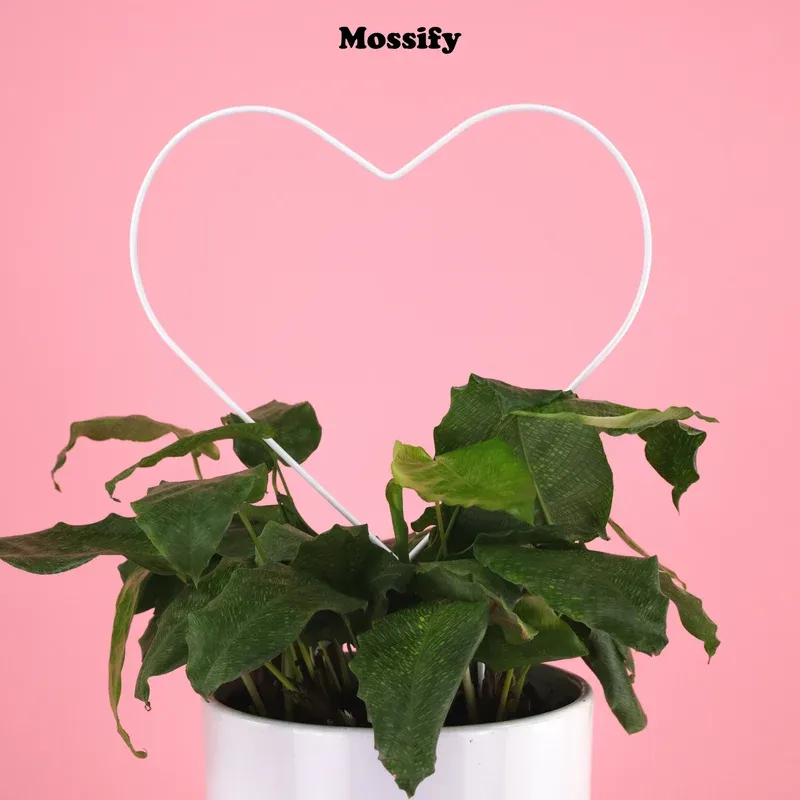 Metal Trellis | Heart
