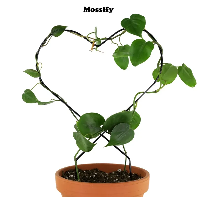 Metal Trellis | Heart