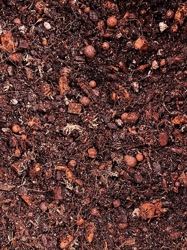 House Blend (Chunky)