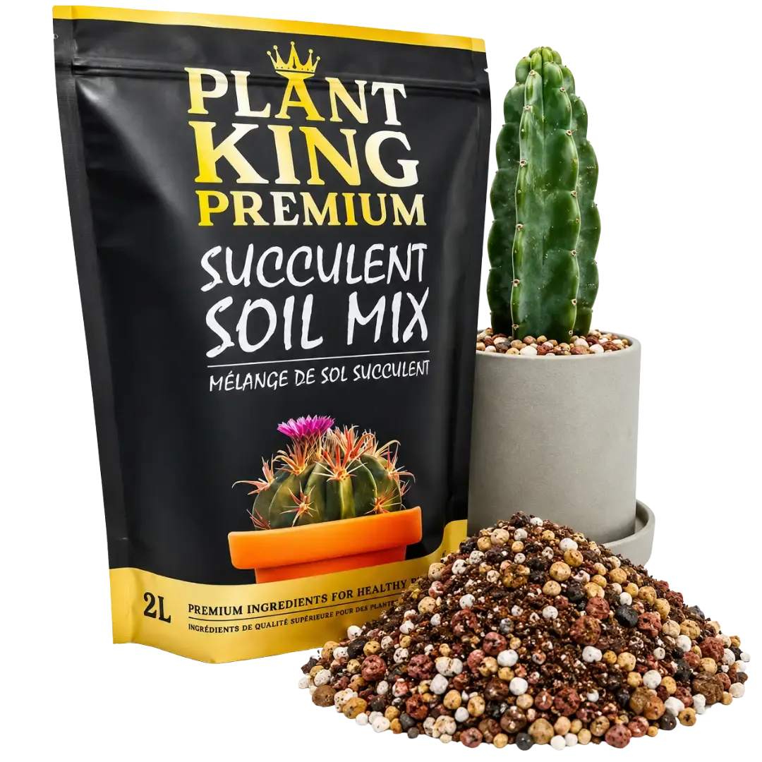 Cactus &amp; Succulent Potting Soil Mix | 2L