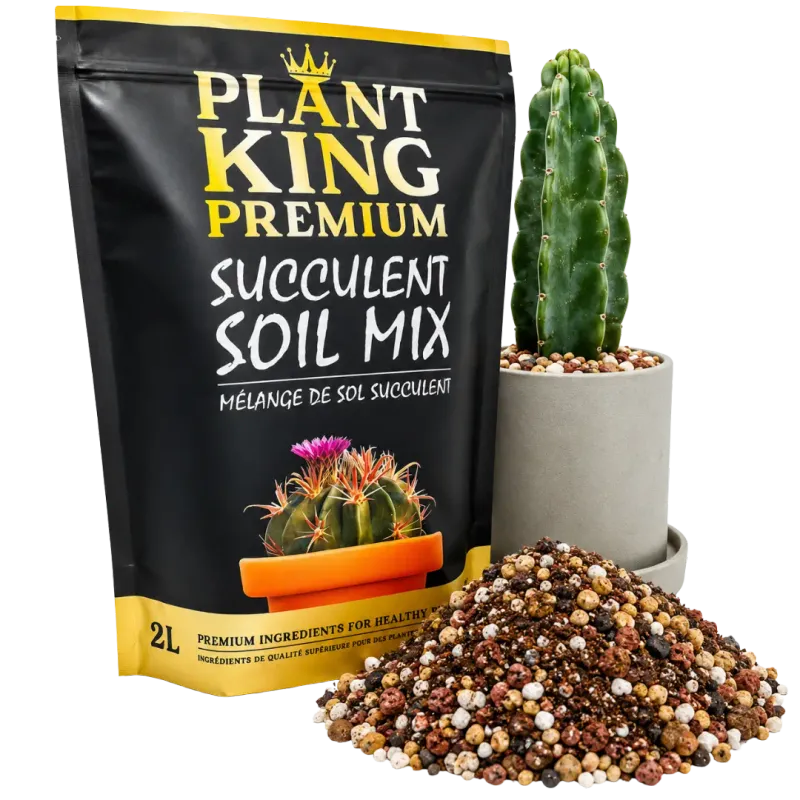 Cactus &amp; Succulent Potting Soil Mix | 2L
