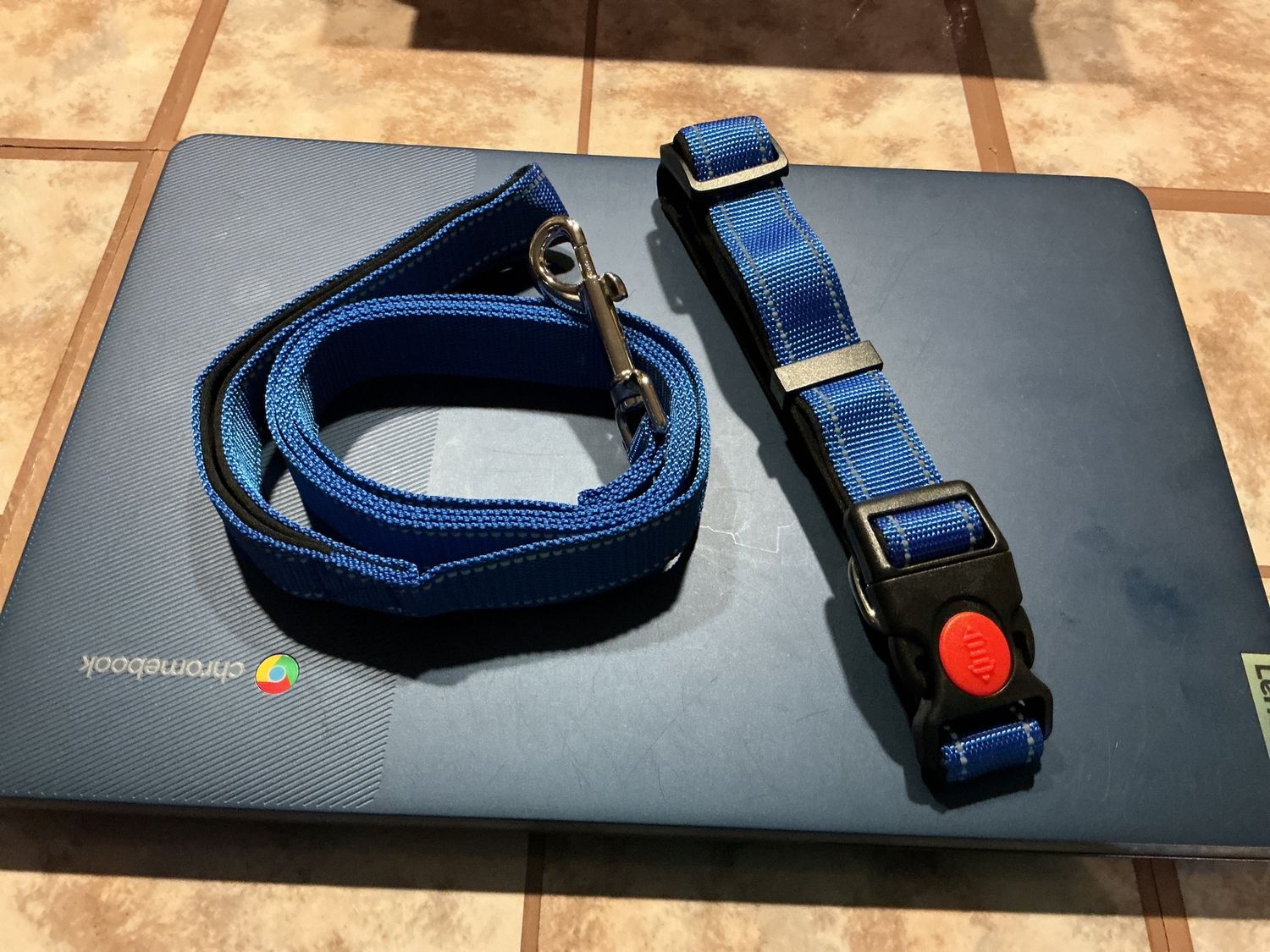 Leash &amp; Collar Set, Size: Medium