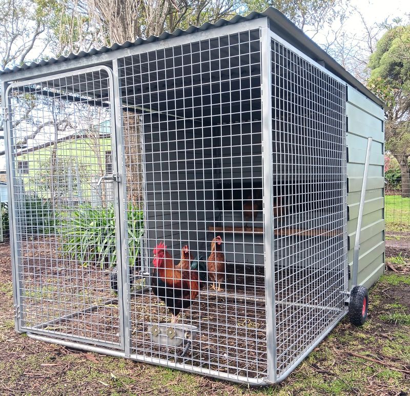 Premium - Chicken Coops