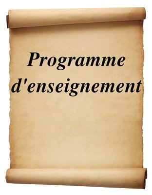 Программа преподавания на французском языке