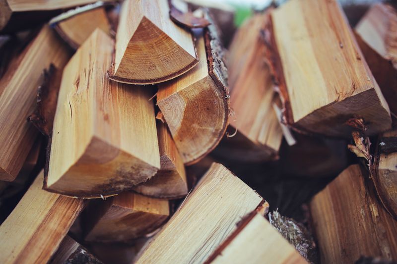 Buche Brennholz