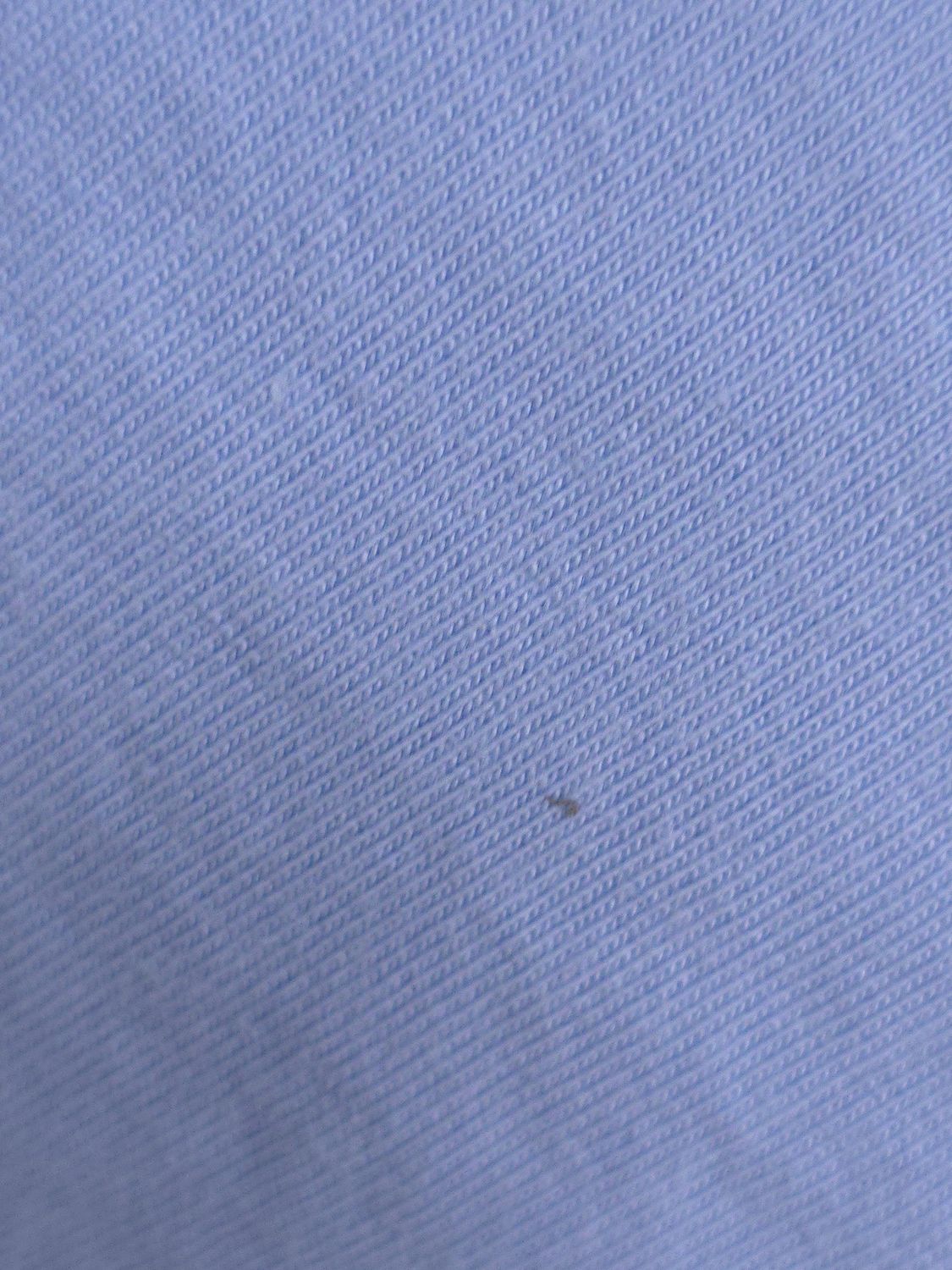 Jersey pré-lavé, Composition: 100% Coton biologique, Couleur: Provincial blue (Bleu Provincial), Poids: 8-8.5 oz