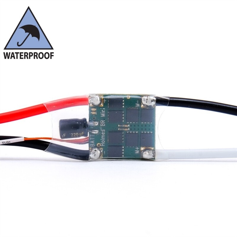 Holmes Hobbies TorqueMaster BR Mini RTR - Waterproof