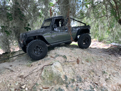 Dixieland R/C Trail Warrior RTR
