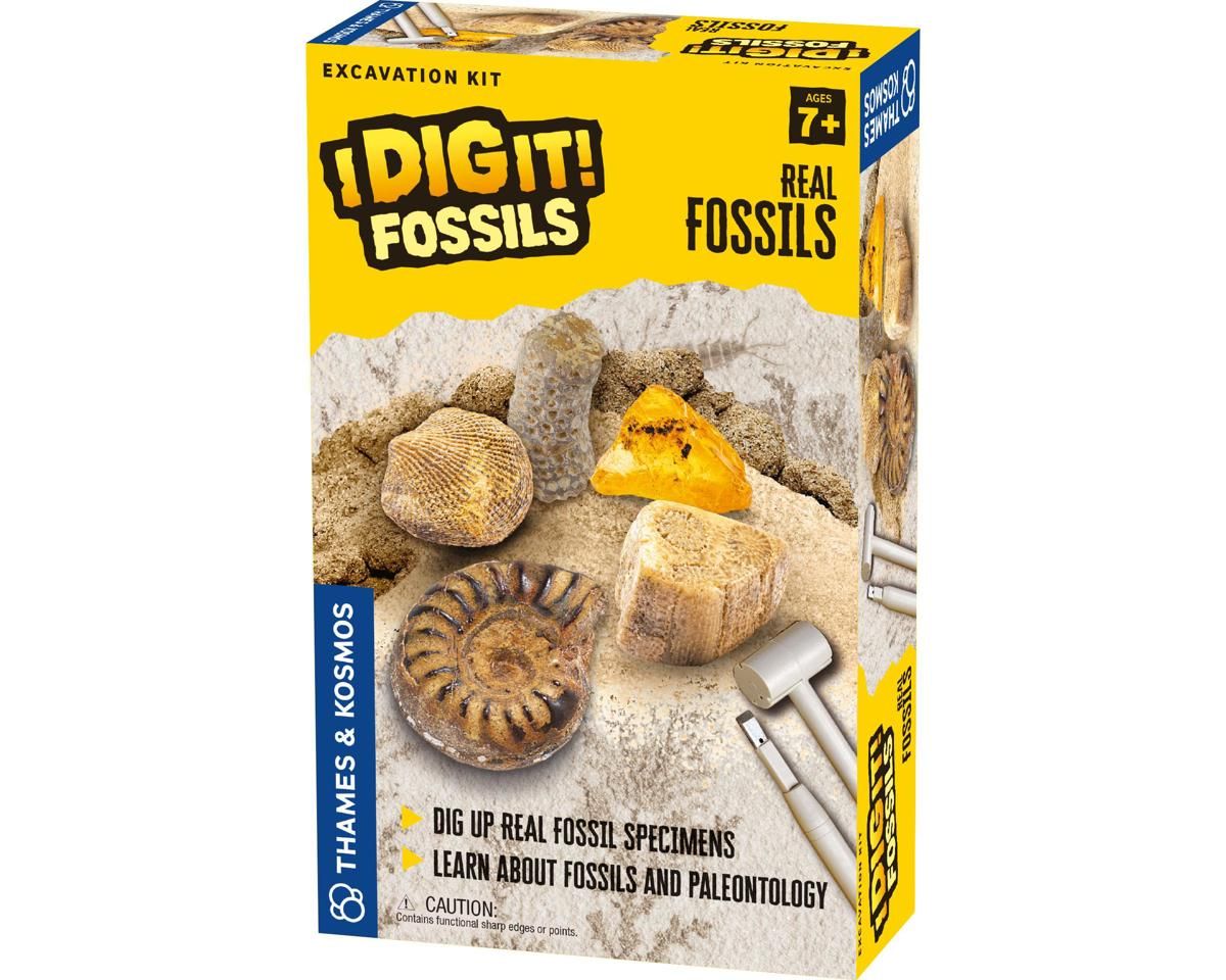 Thames &amp; Kosmos I Dig It! Real Fossils Excavation Kit THK630461