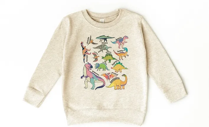 Dino Sweatshirt