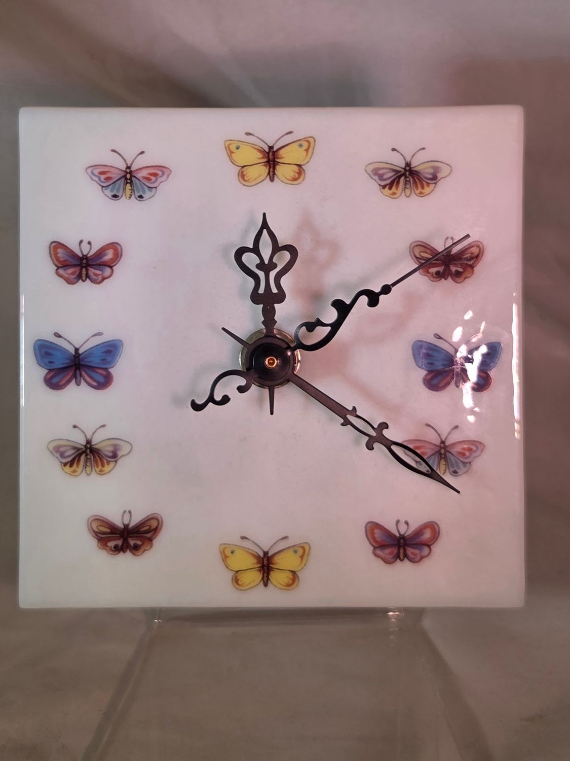 Butterflies Abound