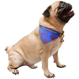 Sublimatable Pet Scarf