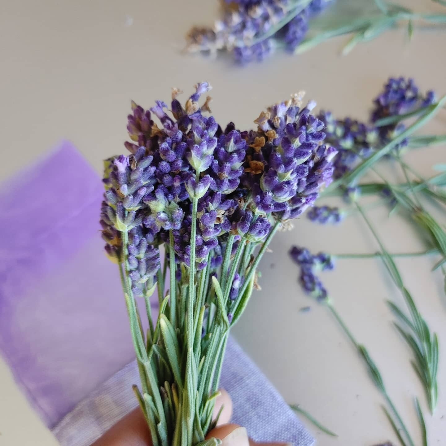 Purple Ellagance Lavender Sachet