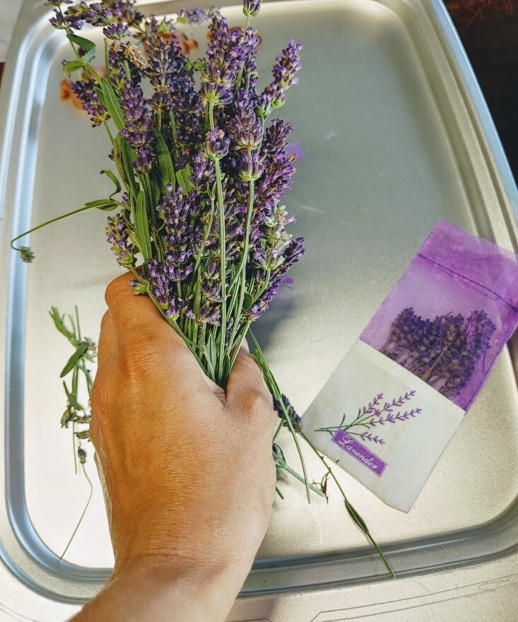 English Lavender Sachet
