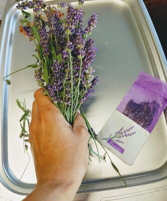 English Lavender Sachet