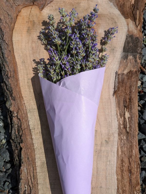 Lavender Bundle