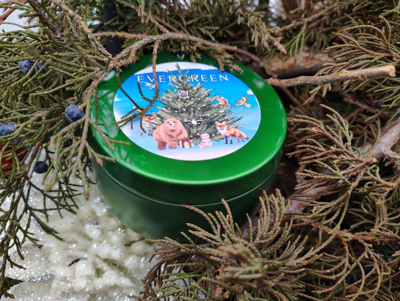 Evergreen Massage Lotion Candle 6oz