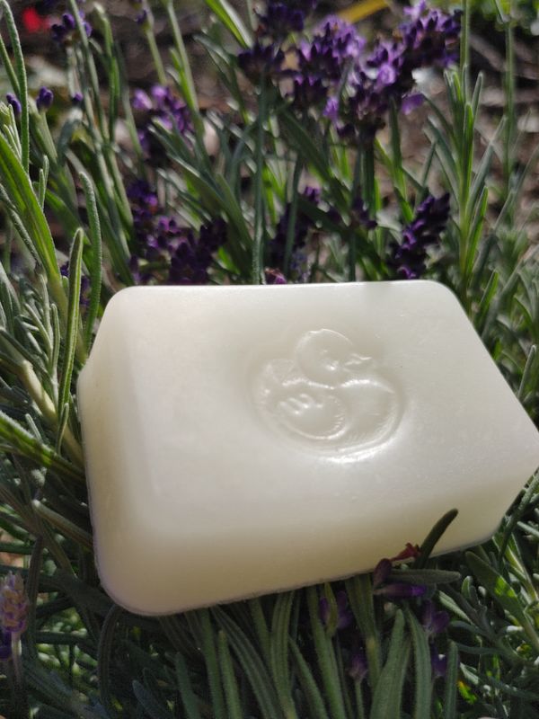 Lavender Love