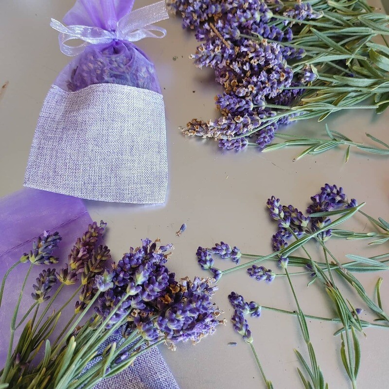 Purple Ellagance Lavender Sachet