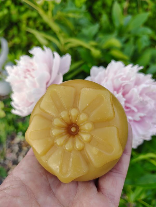 Daring Lorae Blossom Bar
