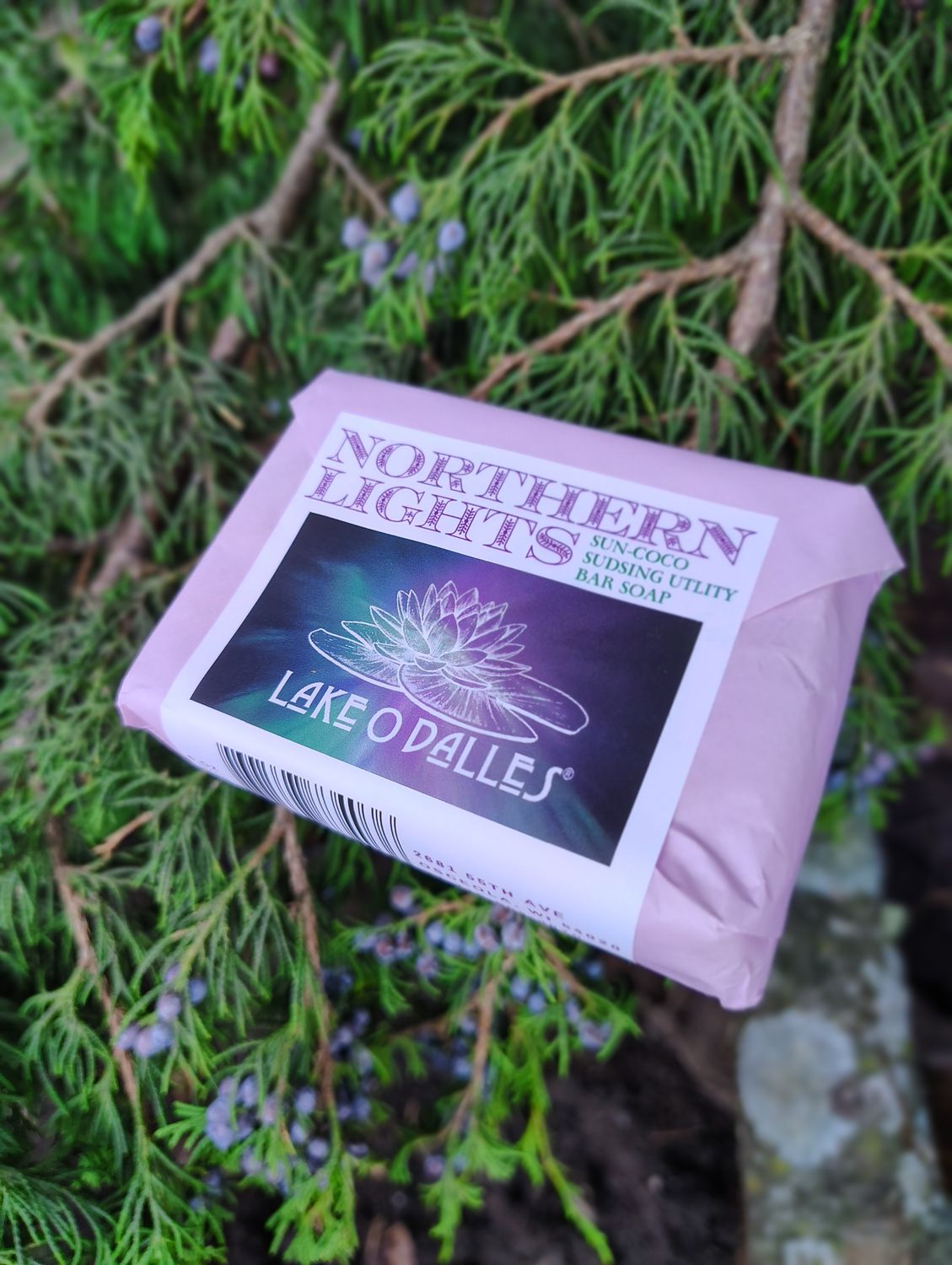 Northern Lights