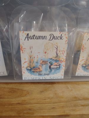 Autumn Duck Soap