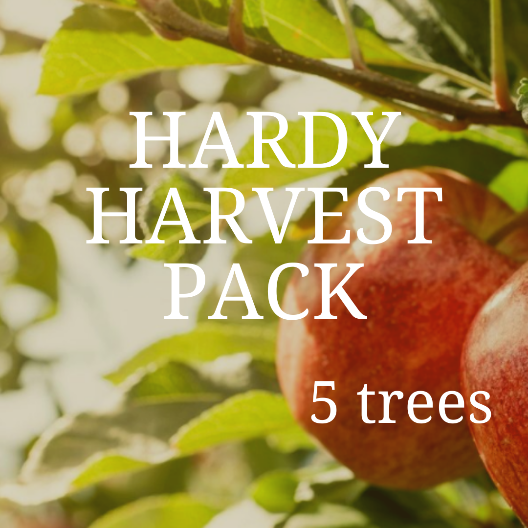 Hardy Harvest Pack - 5 trees