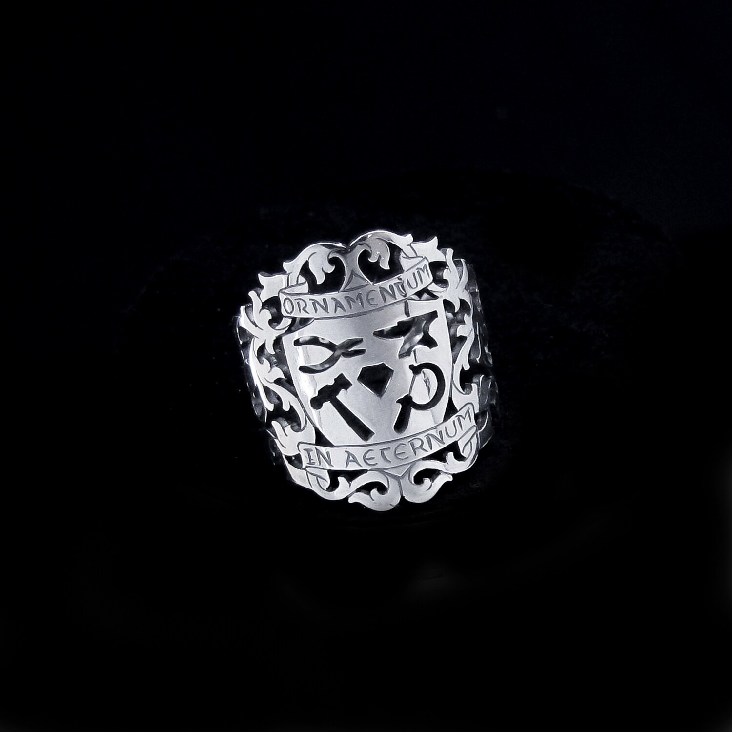 Ornamentum In Aeternum - Silver Ring