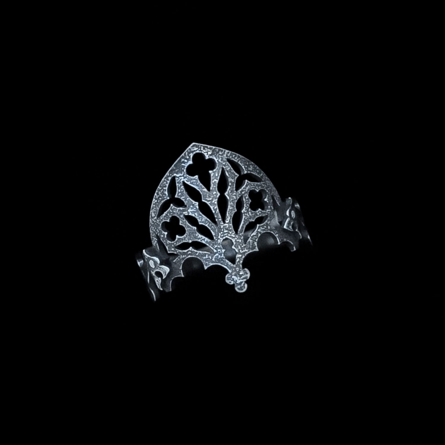 Nocturnal Vault - Silver Ring