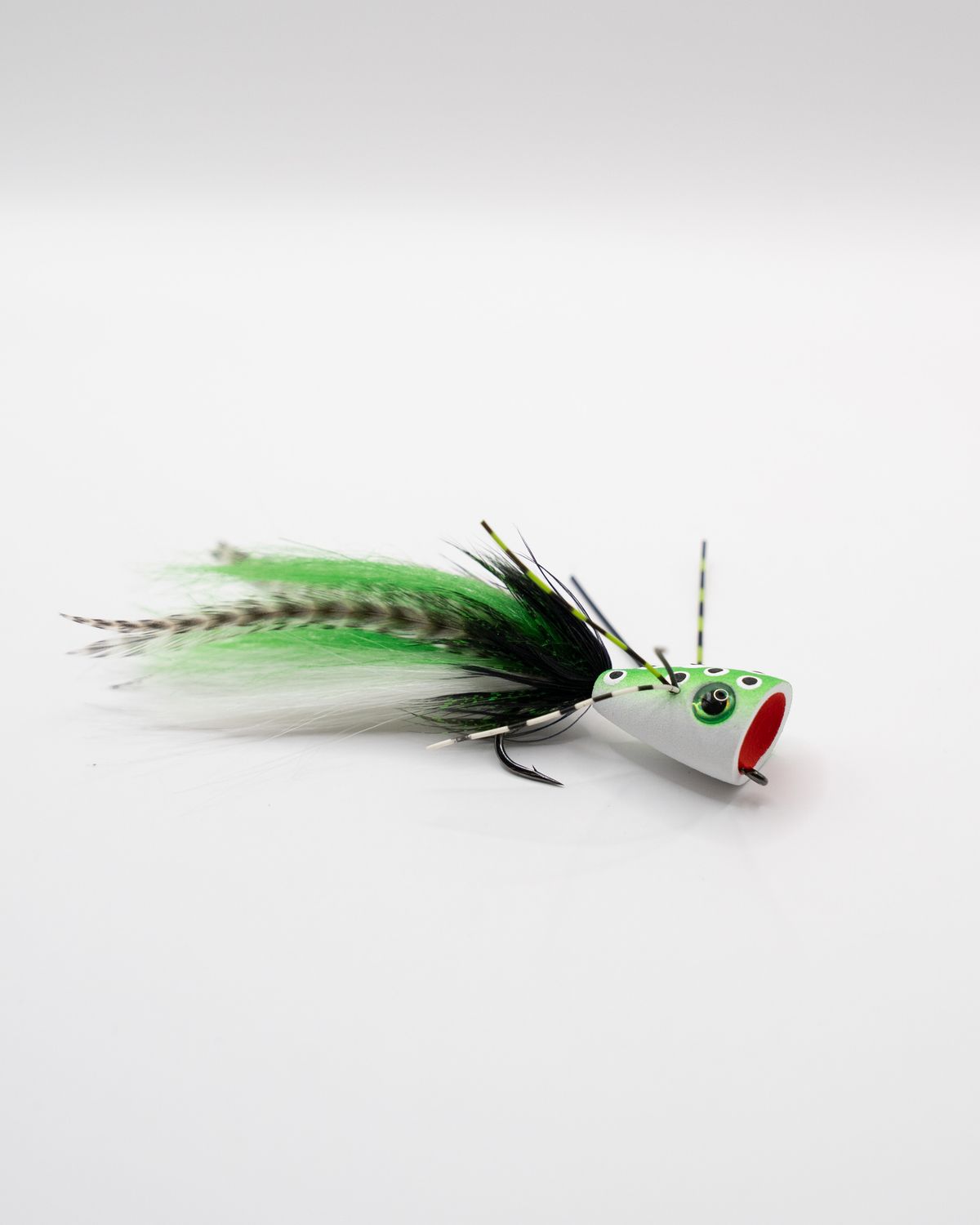 Psychoactive Frog Popper, Colour: White Belly, Size: 1