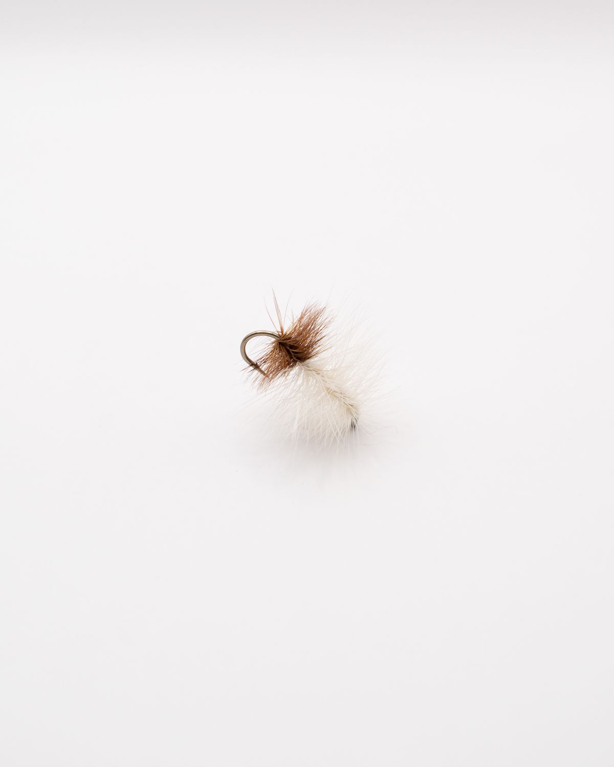 J's Cotton Ball