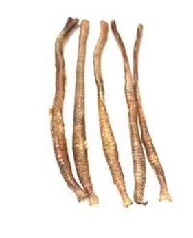 Goose Trachea  (single)