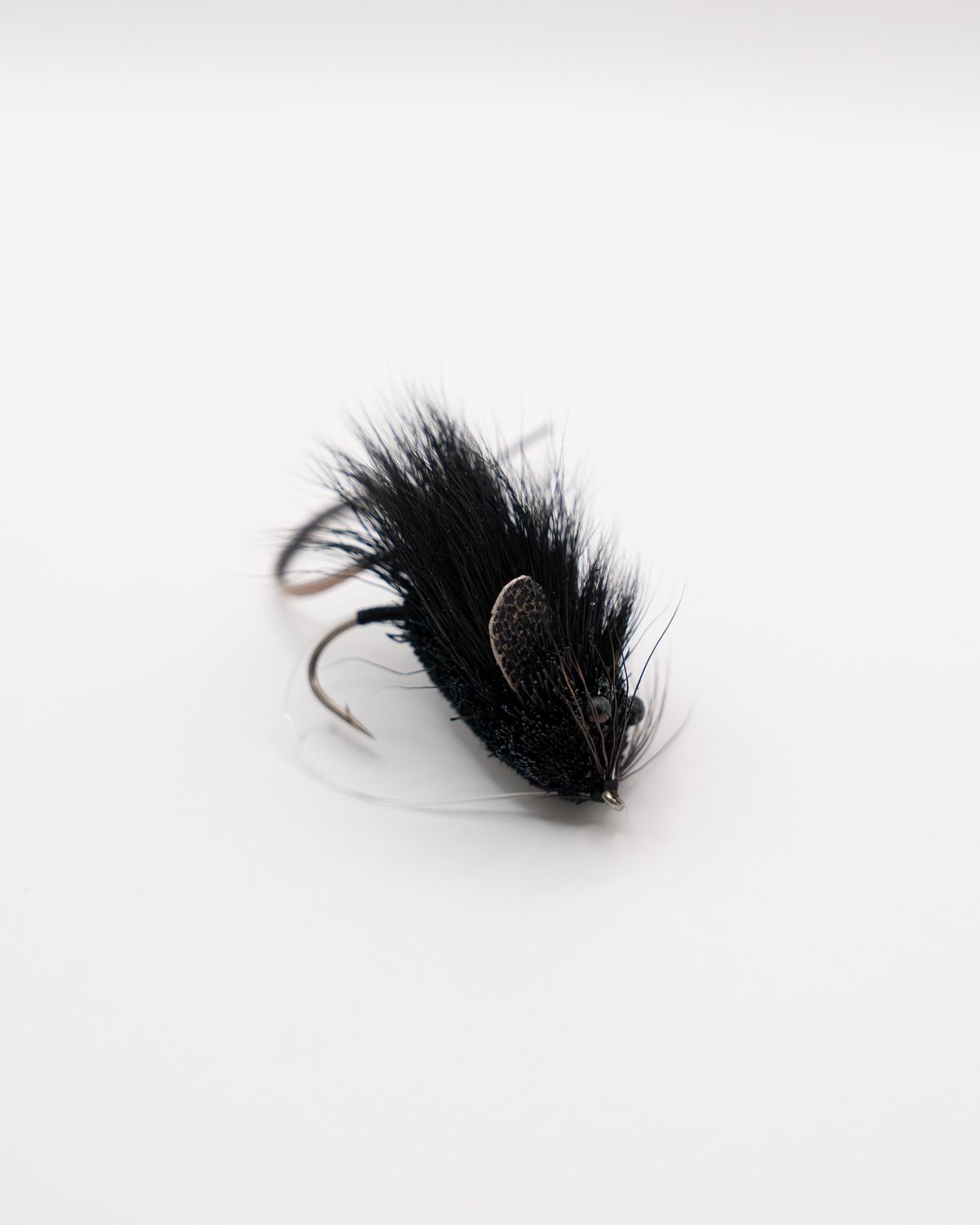 Mouse Rat