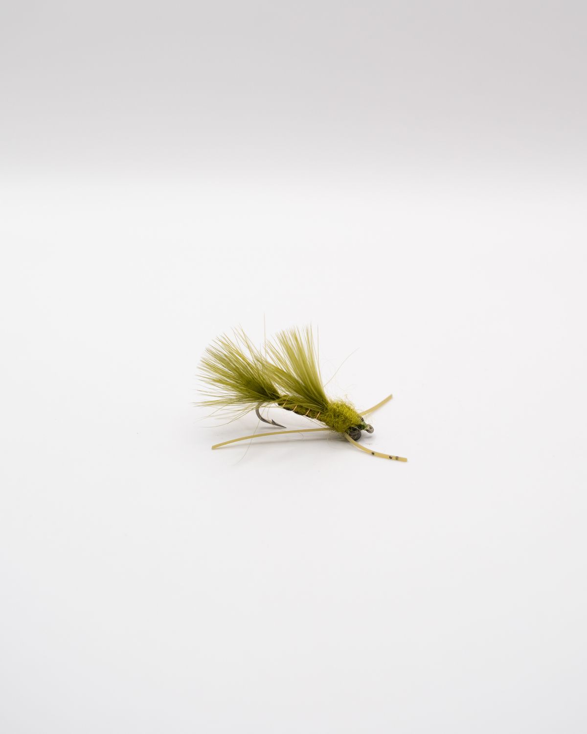 Carp Damsel