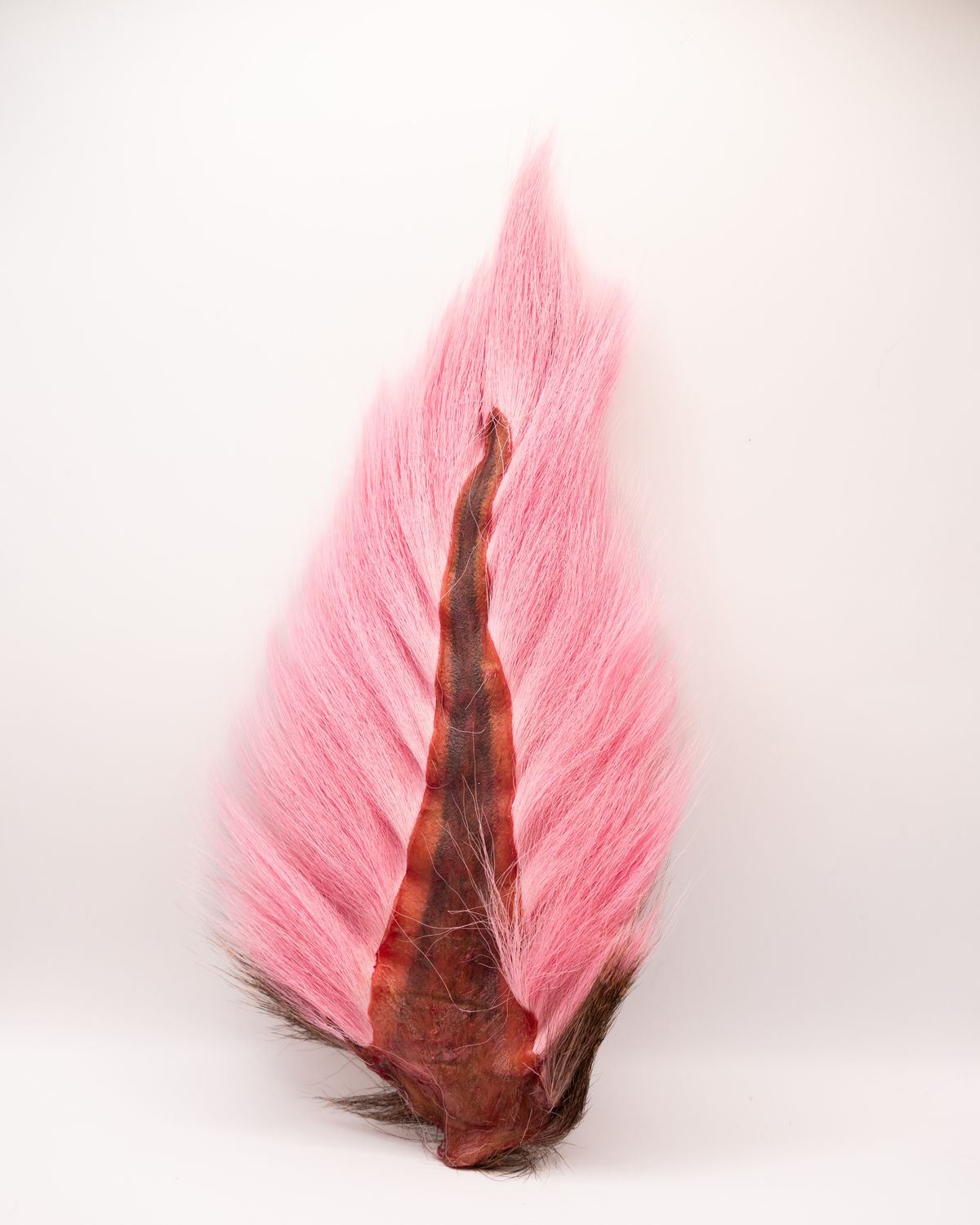 Primo Bucktail