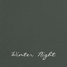 WINTER NIGHT