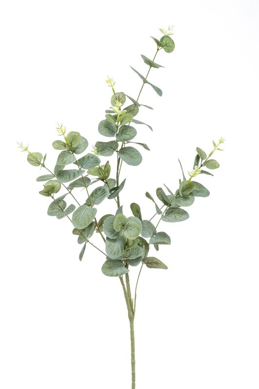 EUCALYPTUS SPRAY - 75cm