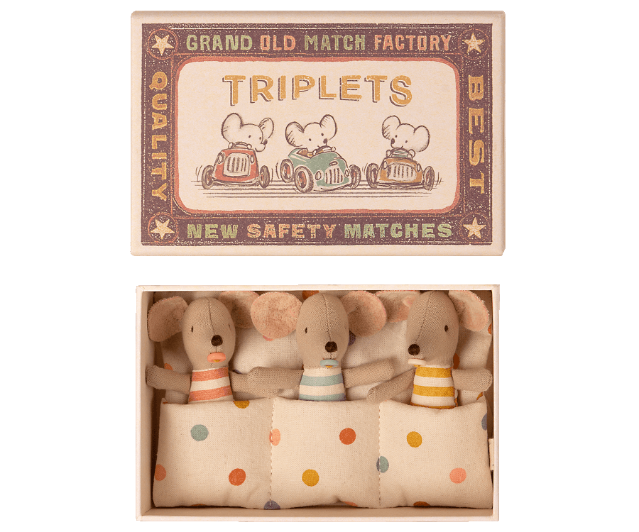 TRIPLETS - BABY MICE IN A MATCHBOX