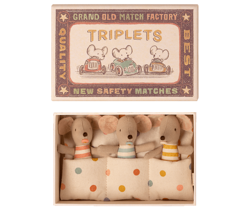 TRIPLETS BABY MICE IN A MATCHBOX