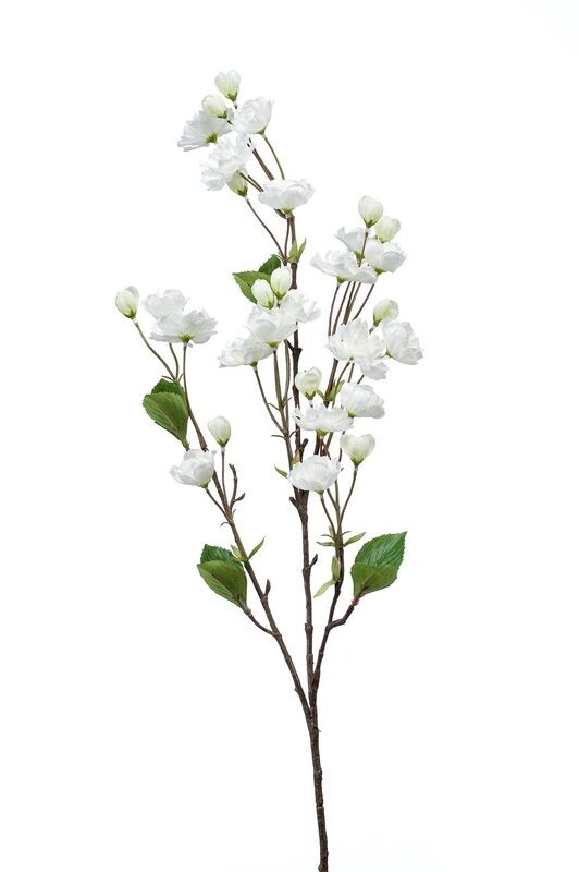 CREAM CHERRY BLOSSOM SPRAY