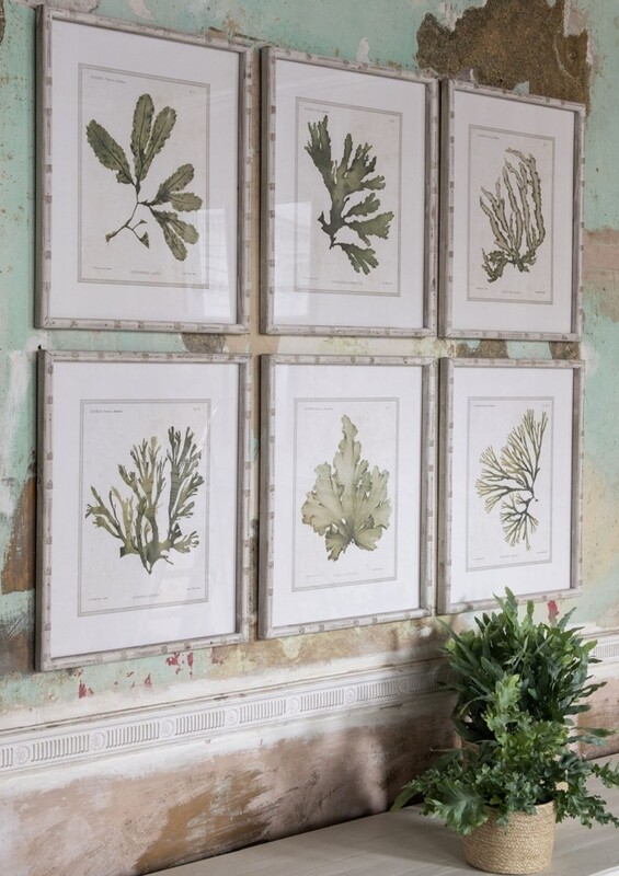 ORMINGTON ALOE AND ALGAE FRAMED PRINTS SOLD SINGLY