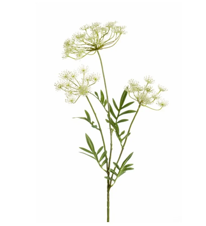 WHITE DILL TRIPLE STEM SPRAY