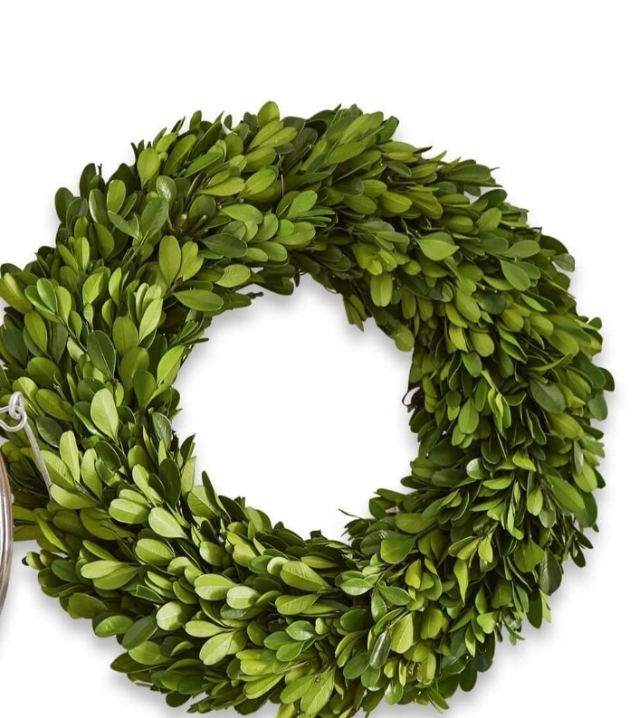 PRESERVED BUXUS WREATH MEDIUM
