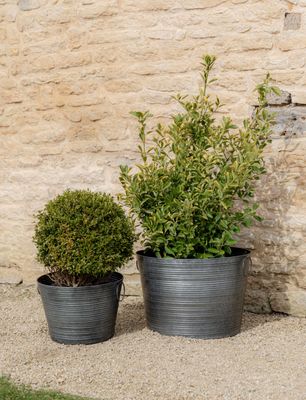 LARGE GALVANISED BUSCOT PLANTER 54cm