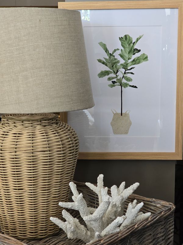 FIDDLE LEAF FIG IN BEECH FRAME