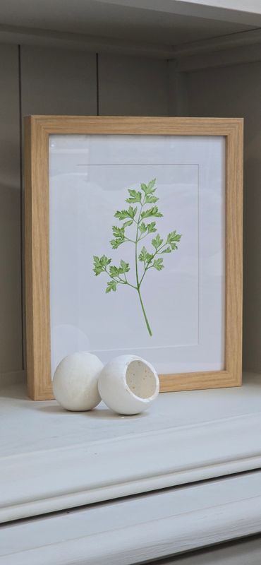 PARSLEY IN BEECH FRAME MEDIUM
