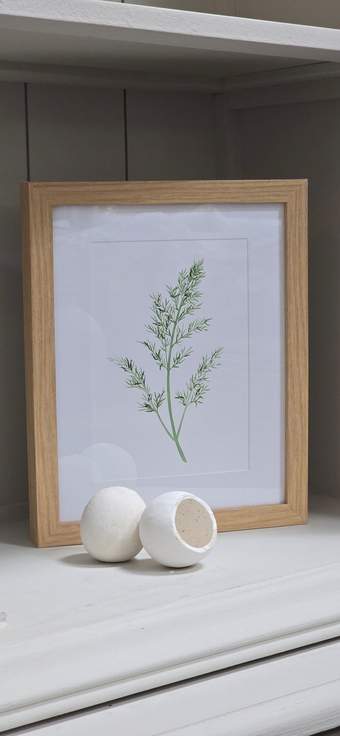 DILL IN BEECH FRAME MEDIUM