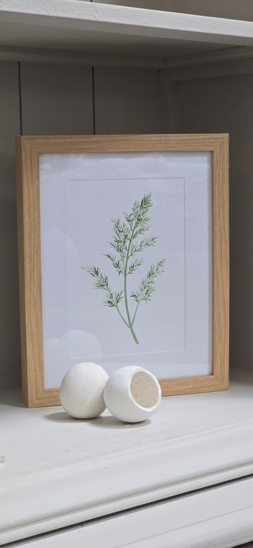 DILL IN BEECH FRAME MEDIUM