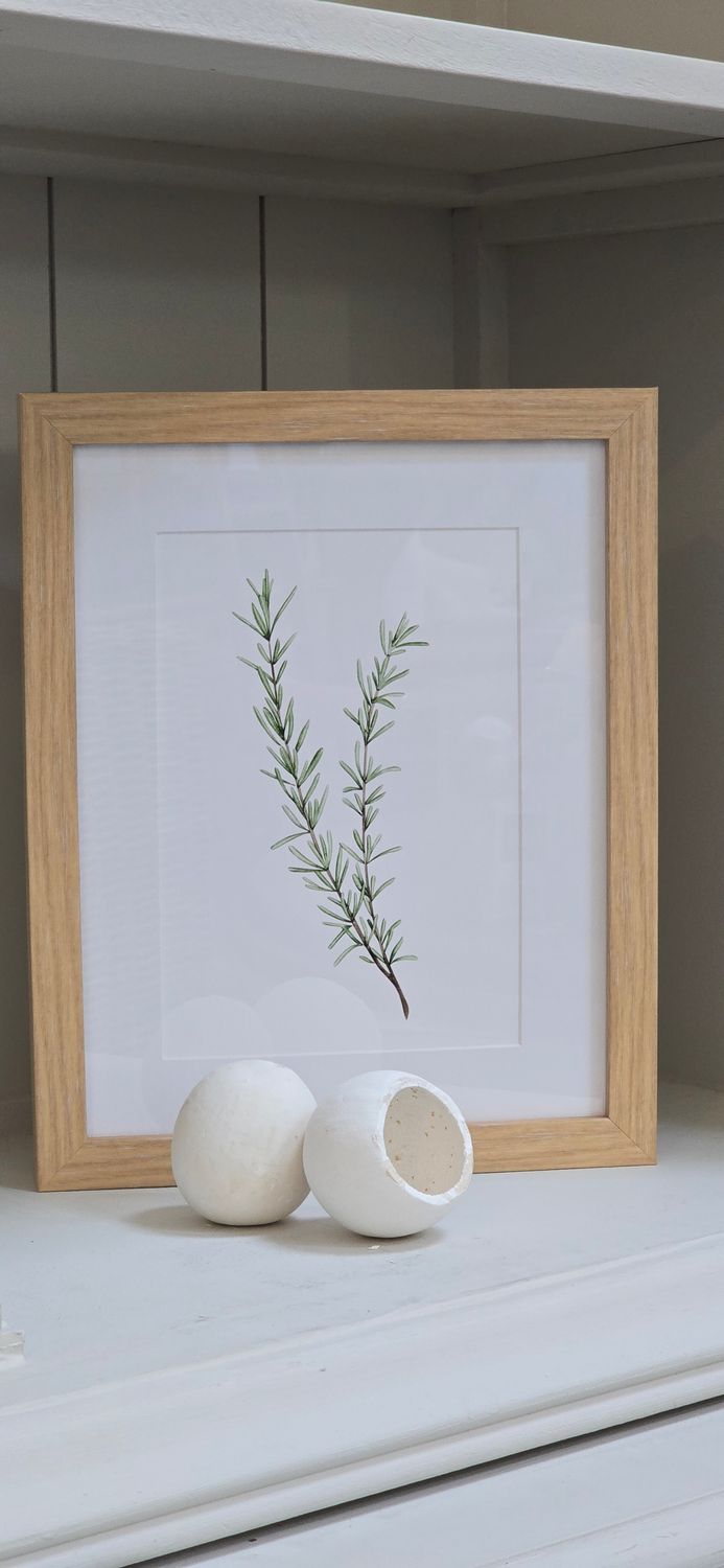 ROSEMARY IN BEECH FRAME MEDIUM